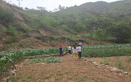 工程測量(圖7)